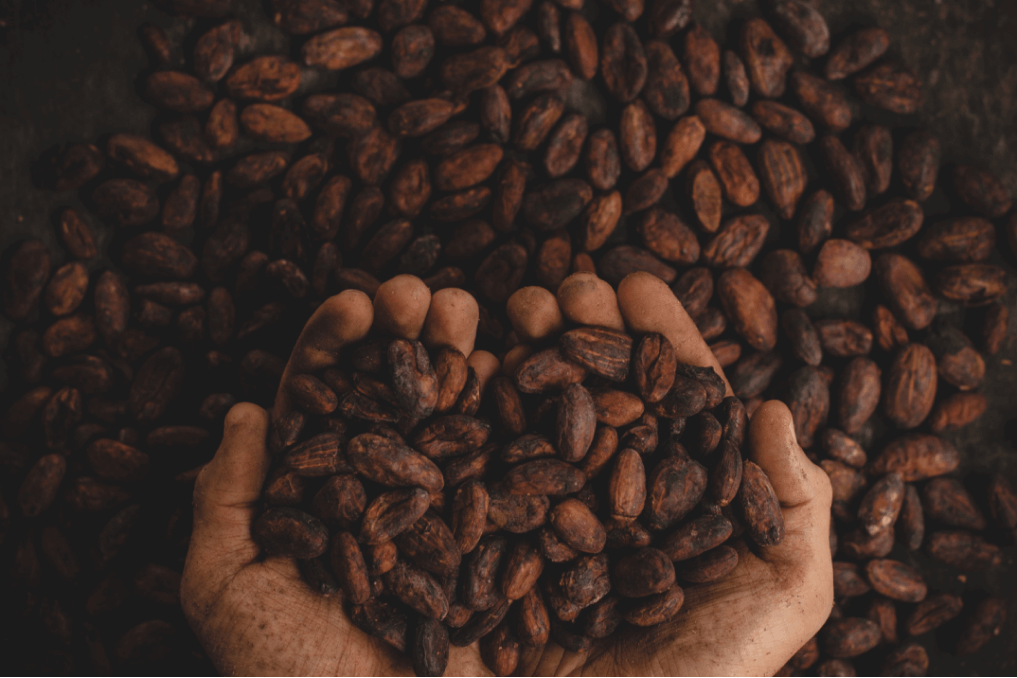 Make this winter sweet like chocolate