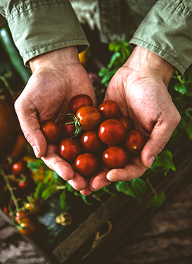 KEEP YOUR FRUIT & VEG FRESHER FOR LONGER