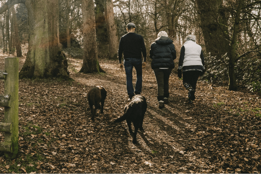 How To Stay Active In Winter