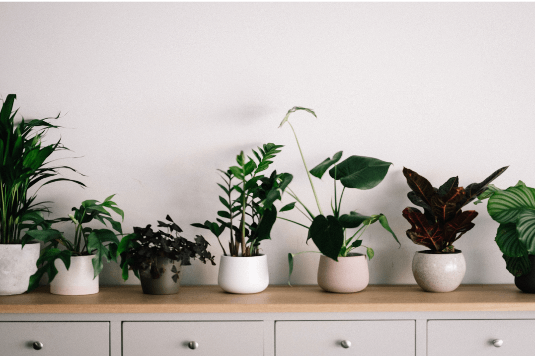 Tips To Beat The Winter Blues